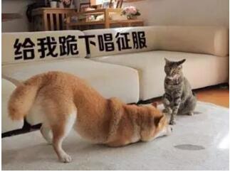 注意！财务顾问东方融资网手把手教年轻人理财