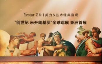 南京艺星-艺星整形遇上米开朗基罗全球巡展