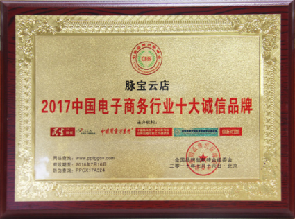 脉宝云店荣获“2017中国电子商务行业十大诚信品牌”称号