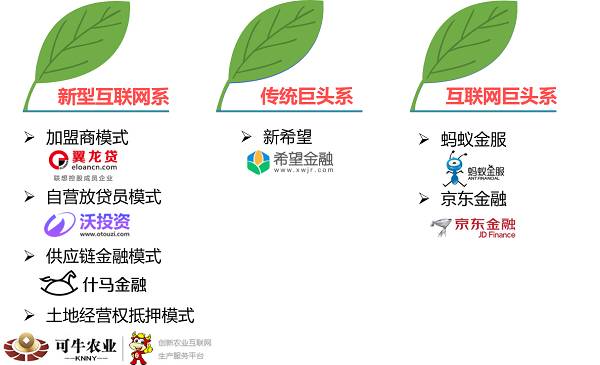 互联网农村金融市场：三类平台的商业模式及发展现状