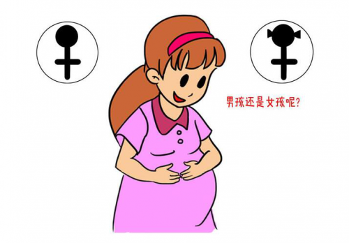 美国试管婴儿答疑会|如何区分出男性胚胎