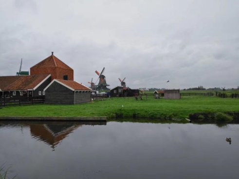 星杰装饰：风车、郁金香及远方的童话//星杰人在世界·系列报道4