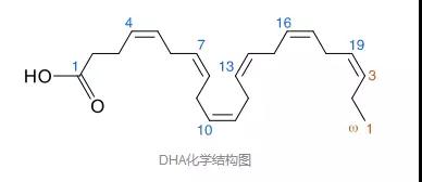 台湾【美臣宝DHA藻油】DHA到底要不要给宝宝吃？