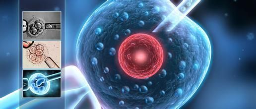 莲花宝宝揭秘：试管婴儿移植后出血怎么办，是不是表示失败了?  