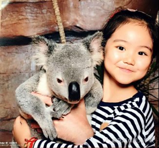 赢在起点上海托升幼|尊重孩子，循序渐进提升能力