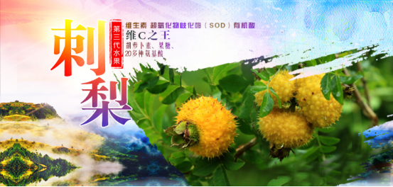 恒力源刺梨原液排毒解酒护肝效果怎么样？