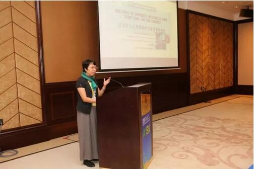 亚太社工会议首日举行六场平行论坛