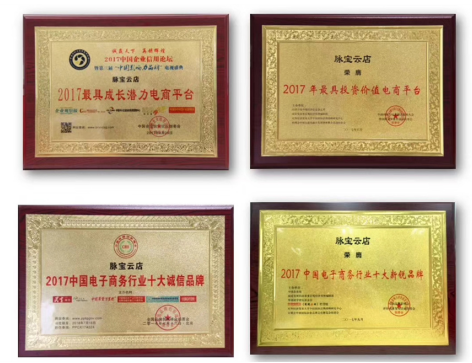 十分钟看懂脉宝云店是什么