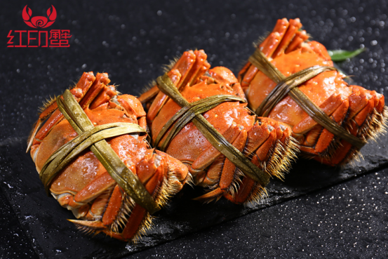 贵而有理！国民好蟹“红印蟹”，再掀金秋全民吃蟹狂潮