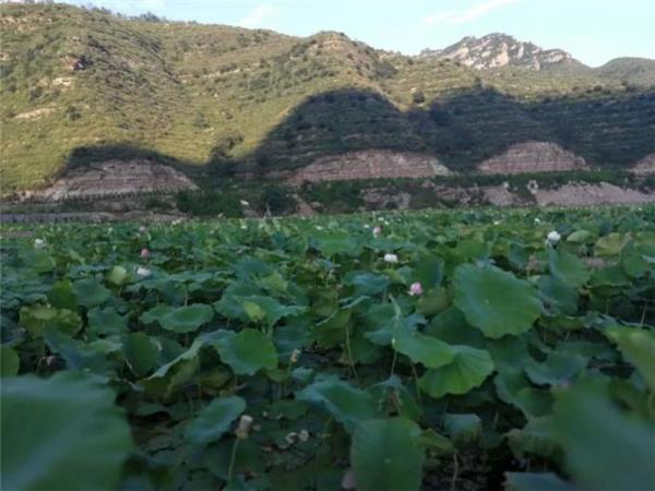 山西省左权县领导到访中城银信，拟联手打造“红色小镇”