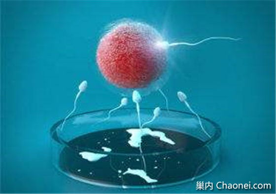 巢内:美国试管婴儿取得新进展 PGS能提高妊娠率吗?