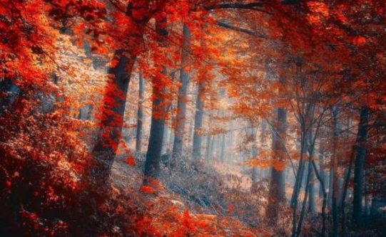 EAORON水光乳：澳洲朋友圈都在传的国庆补水、亮肤攻略