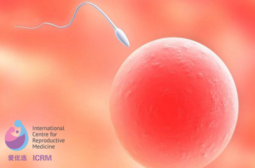 爱优选：输卵管积水，要先诊疗再做试管婴儿