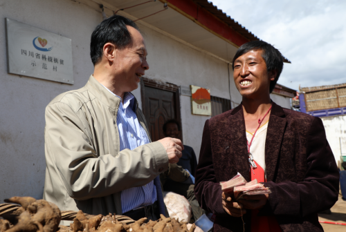 脱贫致富：道地附子在布拖