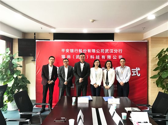 梧桐猫今日头条丨梧桐猫与平安银行武汉分行签署战略合作协议