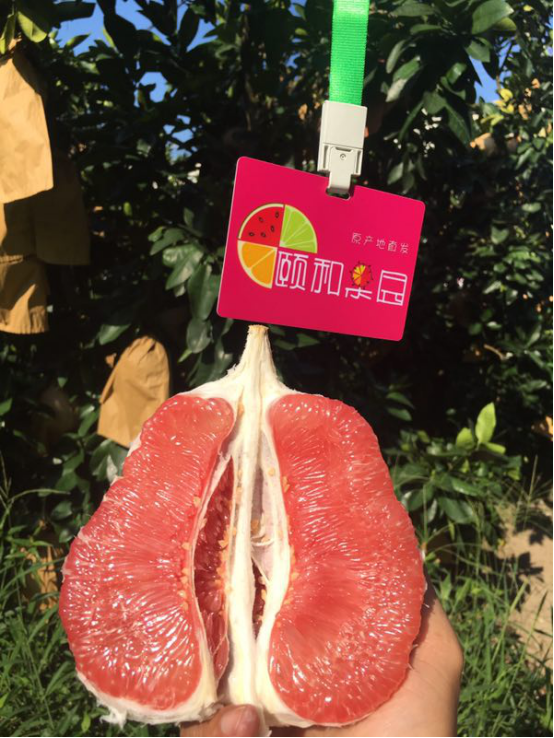 颐和果园是“可以改变人们行为观念”的事业