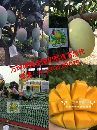 做微商卖水果哪家好？万坤果园怎么样？