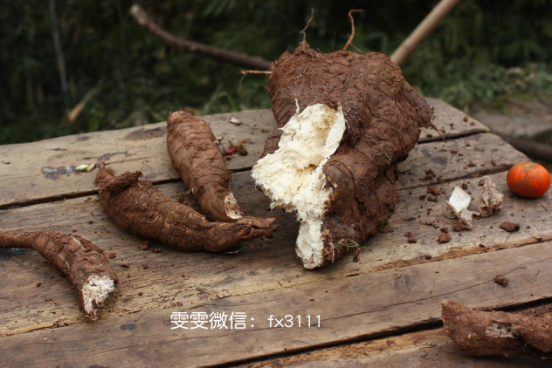 丰胸按摩手法：揭秘 非手术丰胸食补偏方有用吗