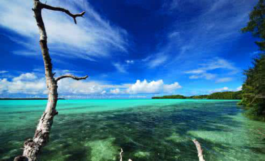 灵格时光奢华精粹 激活海洋美肤能量