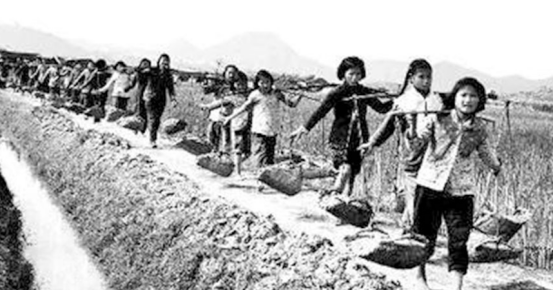 中国乳业探路者 南山奶粉60年老品牌历久弥新