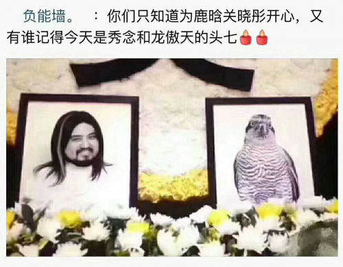 羞羞的铁拳票房直逼20亿，沈腾、马丽身家几何？