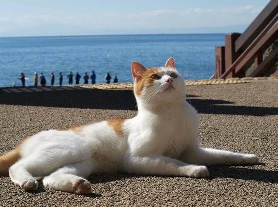 说明: http://www.cnr.cn/lvyou/list/20160223/W020160223494577831869.jpg