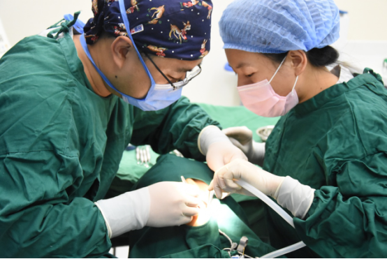 青岛伊美尔蒋磊：选好种植牙，重拾舌尖上的幸福