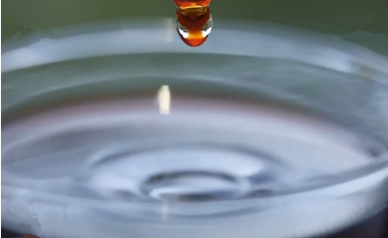 四大优势、多项专利突破 西伯利亚冷杉精华成中俄“健康使者”