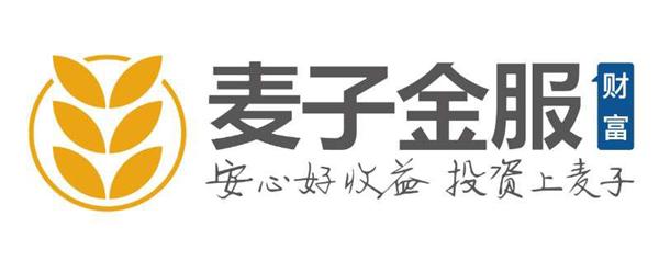 麦子金服：科技助推金融可持续发展
