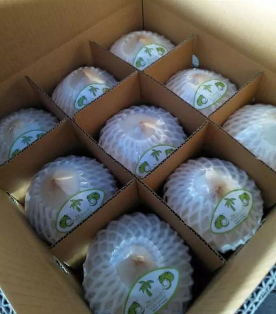 想在农产品品牌化之路上走得更好？这里有你想要的答案