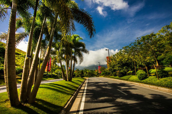 雅居乐西双林语 来自热带雨林的召唤 