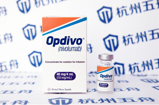 PD1抗体价格多少