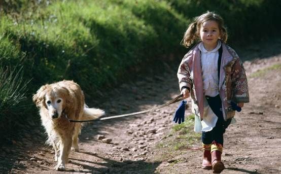 YOUXIN PET 友鑫宠物托运：狗狗跟我的全国游