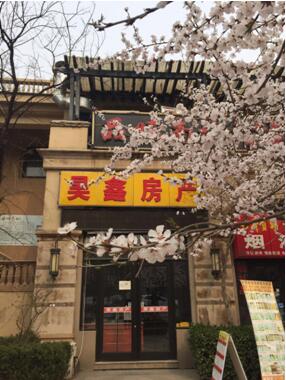 昊鑫地产助力乐城国际贸易城上线苏宁众筹