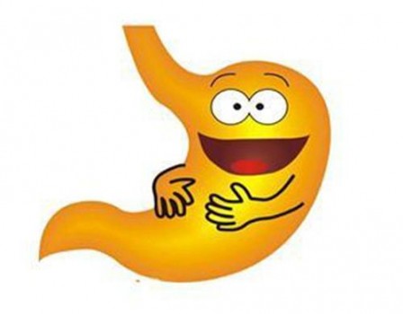 冬季养胃很关键 美洲大蠊帮大忙