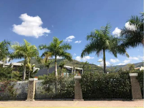 华人杯赛事落花城，强健体魄竞技场