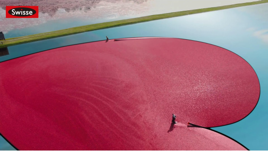 揭开“自然的秘密”，Swisse携手范冰冰首支广告大片清新上线