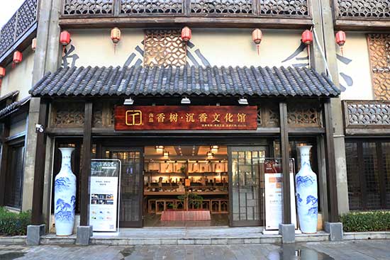 他海南寻香10年，以命赌树，终创“沉香第一股”