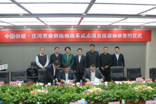 百亿级中国供销庄河农业供给侧改革试点项目正式落户特优农产品源产地——大连庄河市