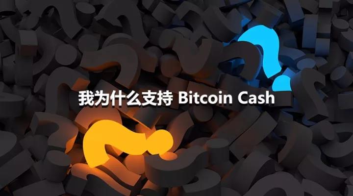 老刘：我为什么支持Bitcoin Cash