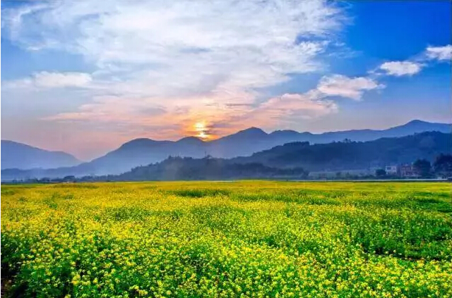 福建长泰全国登山精英赛金秋来袭，引领全民健身新风尚