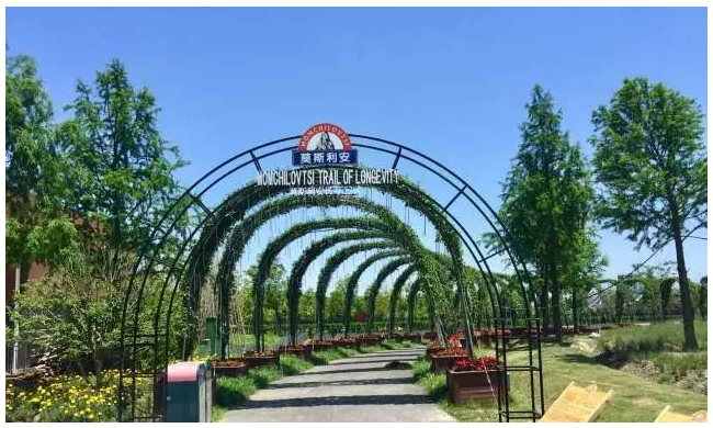 光明莫斯利安香草园——魔都魅力新色彩