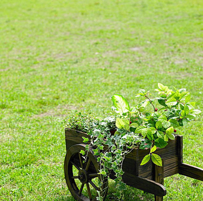 春舞枝集团高速发展 立行业标杆