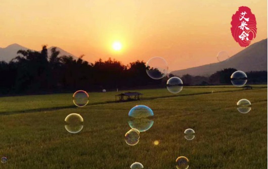 在城市一角织出田园梦，唯艾米是我梦中主角