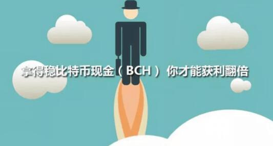 拿得稳比特币现金BCH 你才能获利翻倍