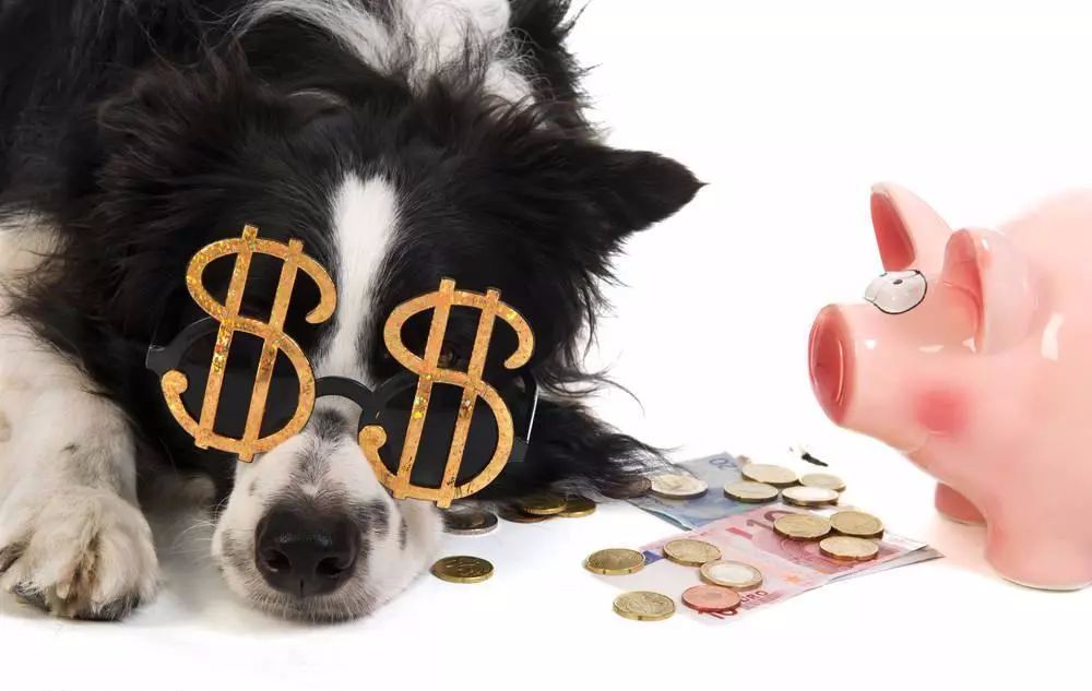 金融狗的春天来了，除了现金贷的1