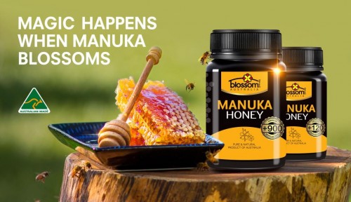 Blossom Health麦卢卡蜂蜜营养丰富 正确食用效果更佳