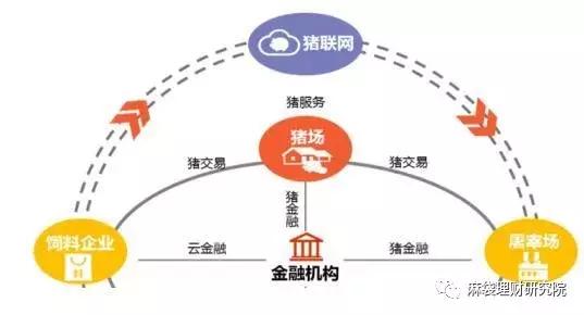 大北农的“猪联网+”.jpg