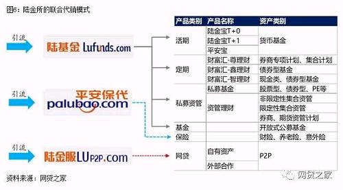 对于P2P而言，2016年8月出台的暂行管理办法中明确规定P2P不得“代销银行理财、券商资管、基金、保险或信托产品等金融产品”，故P2P一般采用“引流”方式为投资者提供多样化的金融产品。以基金的“联合代销”为例，P2P、投资者、第三方代销机构签订基金交易三方协议，由P2P平台展示基金产品，投资者通过P2P网站引导实现基金开户、交易和查询，代销机构则提供包括开户、申购、赎回及未来可能的交易服务。比如人人贷为珠海盈米财富管理有限公司提供引流，宜人贷则为宜信旗下保险代销和基金代销公司引流。