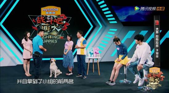 《战斗吧萌犬》收官在即，麦富迪持续解锁实力爱宠方式